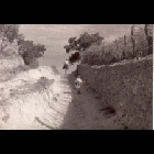 Trazzera_di_ campagna_oggi_Via_Cipro.jpg